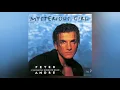 Download Lagu Peter Andre - Mysterious Girl (\