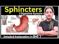 Sphincters in Digestive System Anatomy and Physiology GNM Bsc Nursing Varsha Nursing Academy