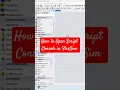 How to open script console in FlexSim