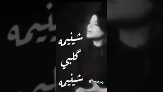 من اجمل اصوات نسائية العراقية من اجمل اغاني حسين نعمة نجمة Shortvideo 2023 Iraq العراق اغاني 