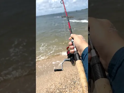 I Caught a 5-Star Meal 🎣