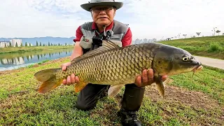 폭염을 뚫고 만난 72cm 잉어!  이 훅이 통했습니다 - 2026 fly fishing EP11(Carp On The Fly 잉어 플라이 낚시)