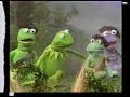 View-Master Interactive Vision Program - Sesame Street Oscar s Letter Party