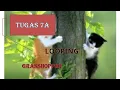 TUGAS 7A BELAJAR CODING DI GRASSHOPPER MATERI LOOPING