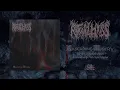 Download Lagu RITUAL MASS - Cascading Misery (Full Album) 20 Buck Spin