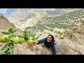 Lagu 🍎 Soghra the Nomad Mother | Picking Apples on Harsh Cliffs 🏔️ for Her Children ❤️