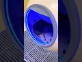 Els Pet Litter Box Malfunction