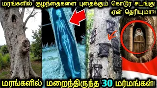 🌳மனிதர்களை மரத்தில் புதை*கும் கொடூர சடங்கு!☠️ | CORPSE Found Hidden In Tree Trunk | Tamil Ultimate