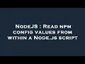 NodeJS Read npm config values from within a Node js script