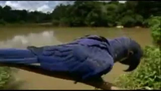 أغيب وذو اللطائف لايغيب كلمات مؤثرة مشاري العفاسي 