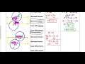 Geometry Unit 2 Review