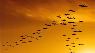 pravin godkhindi flute pankh hothe song