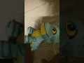 Download Lagu violently trampling and poking dinosaur plush