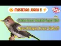 Download Lagu Yuhina Gacor Dor! Ngeroll Panjang, Rapat, Kasar \u0026 Pedas – Bikin Merinding!
