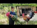 Download Lagu Nieuw leven van onvruchtbare vrouw in verlaten huis in het bos