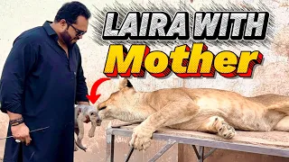 Laira meet her mother😰butt diana say asi uneed nahi thi😱(mian saqib)