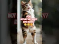 Download Lagu kucing joget wut wut wut wuutt#purnamations