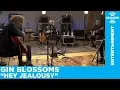 Download Lagu Gin Blossoms Perform \
