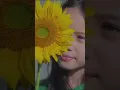 MV Gala Bunga Matahari sebentar lagi 🌻