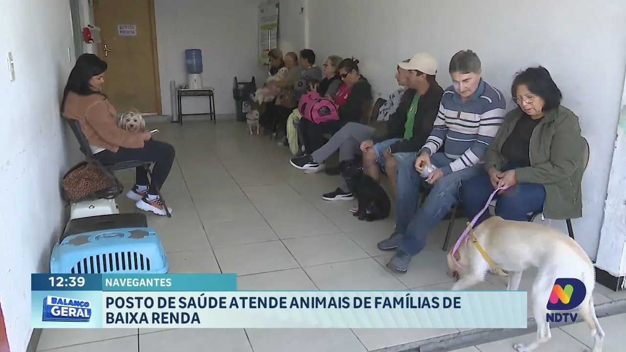 Posto de saúde animal em Navegantes: novos serviço para animais de baixa renda