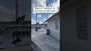 Talking to birds #sailingbyefelicia