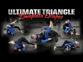 BJJ Technique - Triangle Choke Immunity