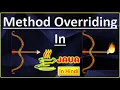 Method Overriding In Java In Hindi