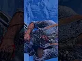 Download Lagu Uncharted 4 thieves | endThe beauty of uncharted#shortvideo#uncharted #viral #action