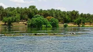 طرب الانباري الاصيل سعدي الحديثي رجال الناعورة 