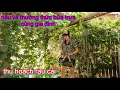 Download Lagu THU HOẠCH RAU CẢI _NẤU VÀ THƯỞNG THỨC BỮA TRƯA CÙNG GIA ĐÌNH @phuongthuycuocsongmy 