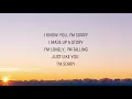 Alan Walker - Sorry (Lyrics) ft. ISÁK