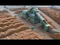 Download Lagu Binnen Pennsylvania Sawmill-proces 80% Amerika's premium hardhout - Van bos tot familiezagerij