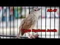 Download Lagu Masteran Cigun Nembak Rapat Ak47