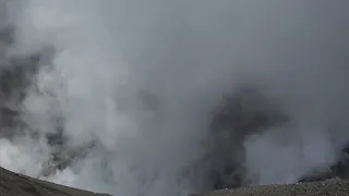                 دندنها