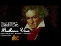 Download Lagu Diana Boncheva feat. BanYa - Beethoven Virus Full Version ( 1 Hour Loop )