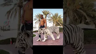 أغنية أنا مافيا محمد رمضان 