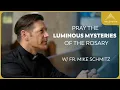 The Luminous Mysteries of the Rosary with Fr Mike Schmitz Sacred Art Version