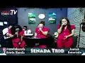 Download Lagu SENADA TRIO Hu Bege Asu Mangorong