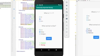 Beginning Android Studio 5 - RadioGroup and RadioButton