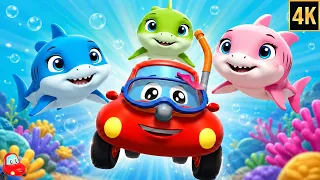 Baby Shark Doo Doo Doo, Nursery Rhyme for Kids