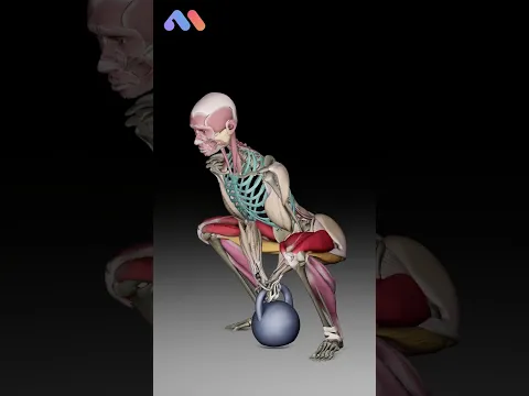 Want to Feel Your Quads in a Squat? Try the Somersault Squat