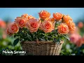 Download Lagu Beautiful melody🌺 One of the most magical and touching spring melodies🌿Sergey Grischuk #2