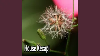 Download House Kecapi MP3