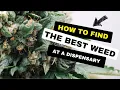 How to find the BEST WEED at a Dispensary