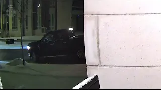                              دندنها