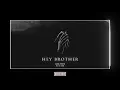 Lagu Luca Testa - Hey Brother (Feat. Efi Gjika) [Hardstyle Remix]