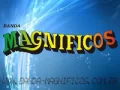BANDA MAGNÍFICOS-SONHO LINDO