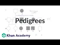 Pedigrees Classical genetics High school biology Khan Academy