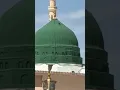 Download Lagu Muhammad Nabina Beautiful Naat Status Compilation for Every Occasion #trendingshorts  #nafsi