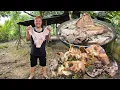 Download Lagu PANGGANG KEPALA BABI KRISPI TIDAK KERAS LEMBUT DIMAKAN // DAUN SINGKONG REBUS CECAH SAMBAL // 